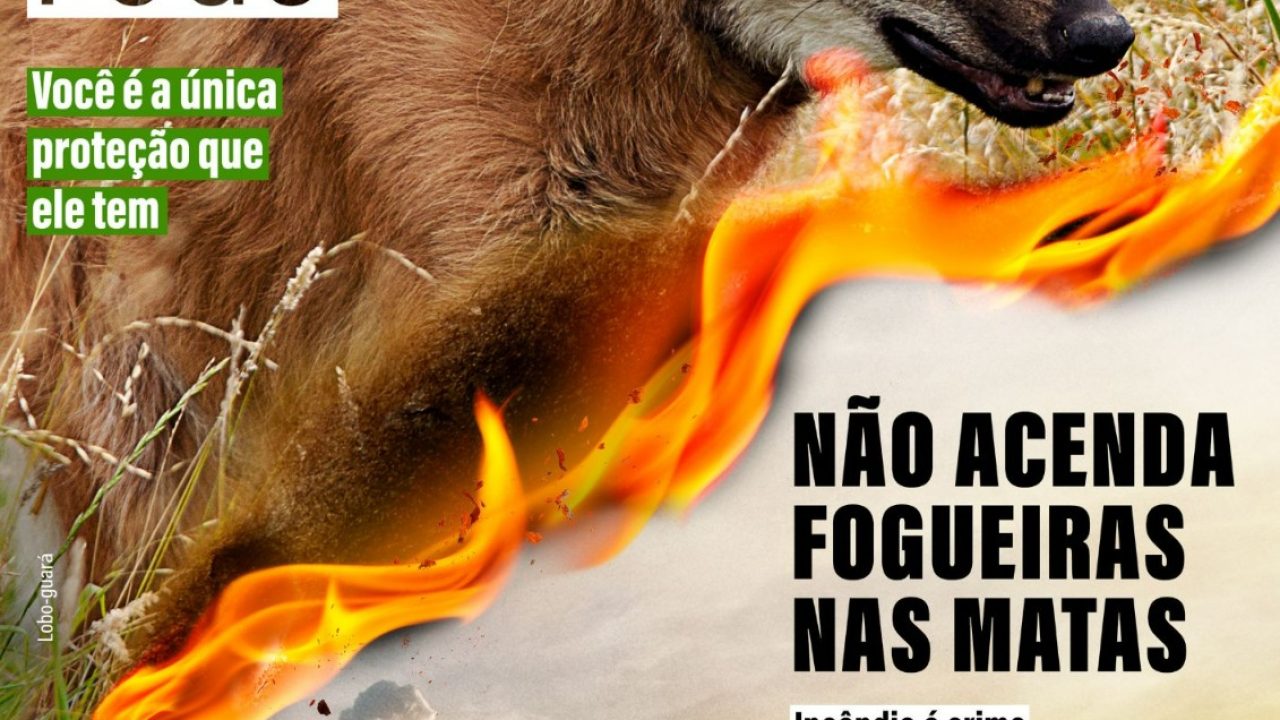 221e73f9-0946-479d-94ac-712f03126385